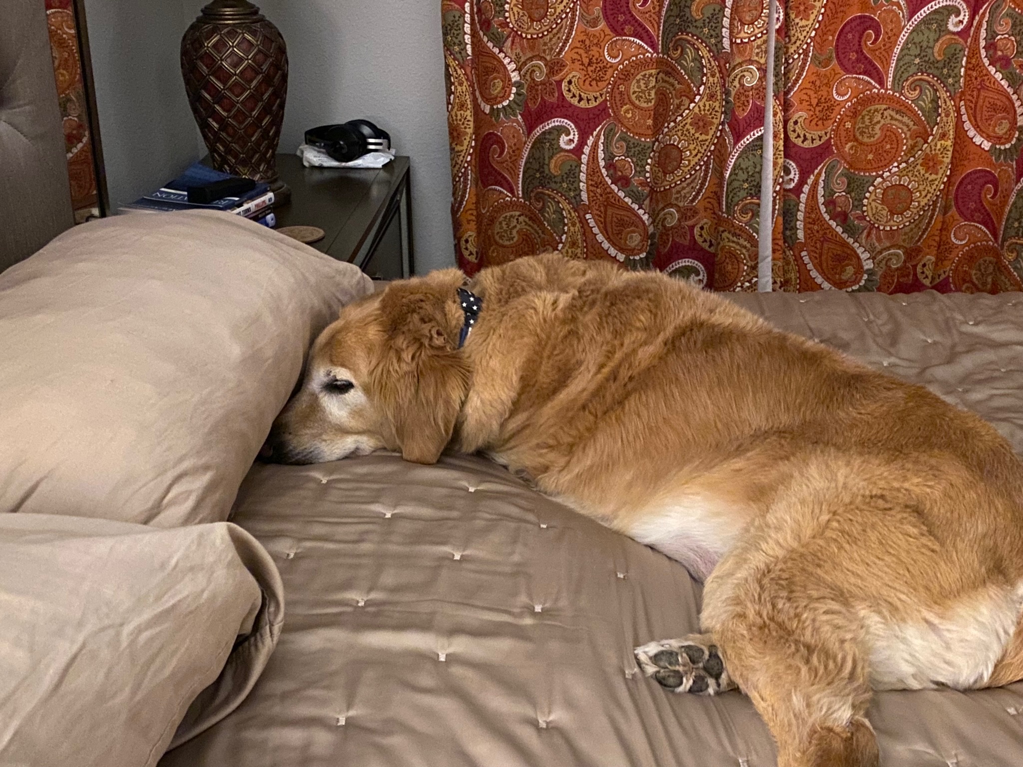 Louie memory
